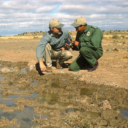 business-day-article