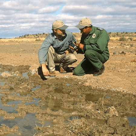 business-day-article